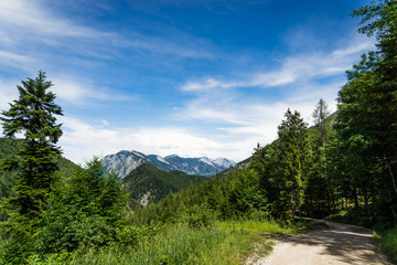 Fototapeta premium road through Alps on a sunny day
