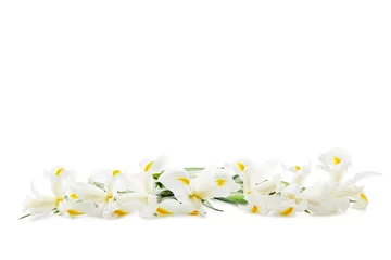Papier Peint photo autocollant Iris Bouquet de fleurs d& 39 iris isolé sur fond blanc