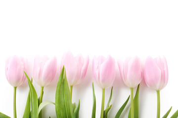 Bouquet of pink tulips isolated on a white