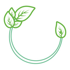leaf design  vector illustration