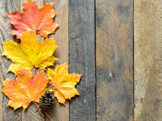 Autumn background of fall leaves on the wooden board, top view