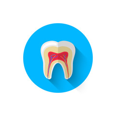 Tooth in the cut icon is isolated in a flat design style vector illustration. Modern icon on the theme of stomatology in stylish colors. Website and design for mobile apps and other projects
