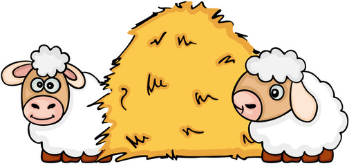 Two sheep with dried hay
