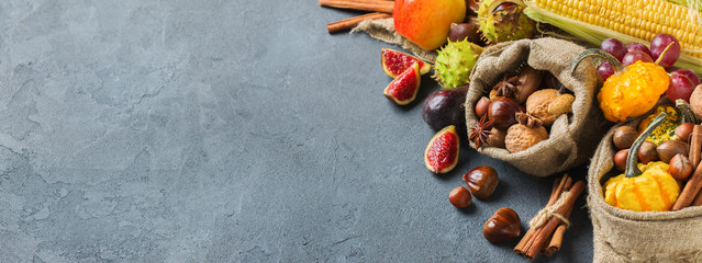 Fall autumn harvest thanksgiving background with pumpkin apple chestnut corn
