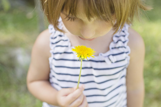 Little girl smells a yellow flower