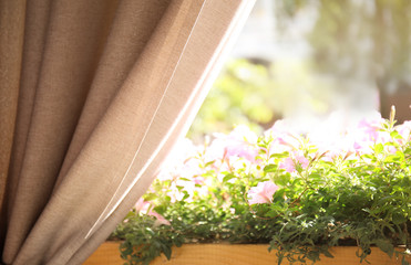 Light curtain and wooden sill with blooming petunias