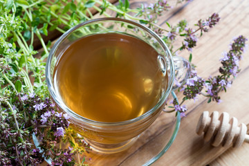 A cup of creeping thyme (thymus serpyllum) tea