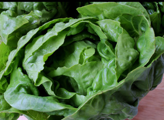 salad on the wood background