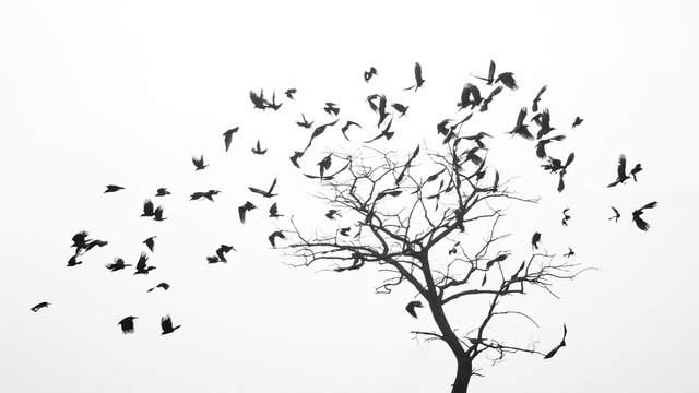 Birds fly from the tree like leaves by the wind