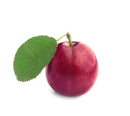 Fresh ripe plum isolated on white