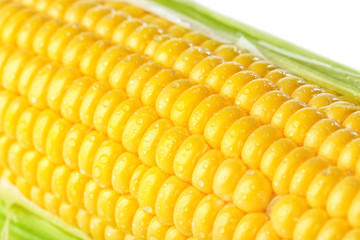 Fresh corn cob, close up view