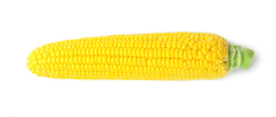 Fresh corn cob, isolated on white