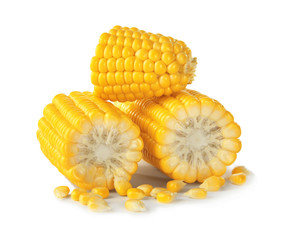 Pieces of fresh corn cob, isolated on white
