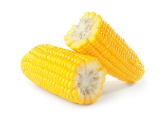 Pieces of fresh corn cob, isolated on white