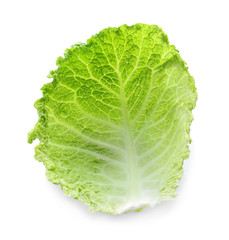 Fresh green cabbage leaf on white background