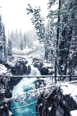 Sunwapta Falls in the Snow, Jasper