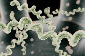 Lyme disease also known as Lyme borreliosis 3D rendering