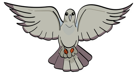 Fototapeta na wymiar Pigeon with wings spread.