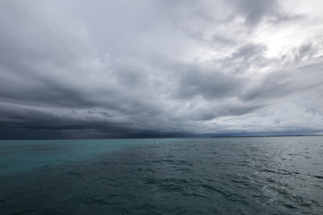 The Storm is coming ...soon