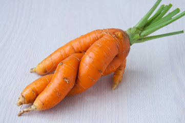 Raw carrots lie on a light table