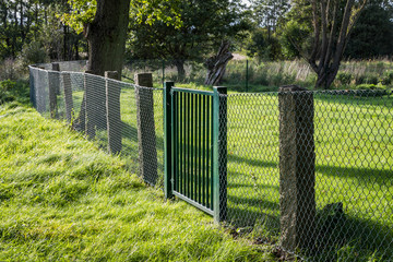 Metal grille fence with green gate in green surroundings