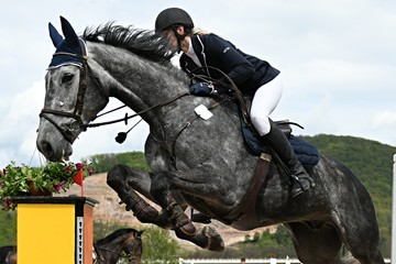 équitation