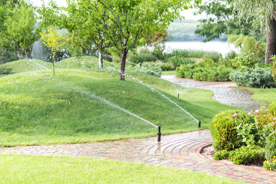 Automatic sprinklers watering modern fruit garden with hills covered by green grass lawn