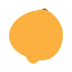 Isolated orange fruit on a white background, Vector illustration