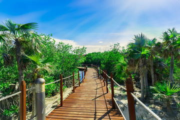 great amazing inviting view of wooden bridge in tropical garden leading to the beach and ocean ocean on blue sky background at Cayo Coco Cuban island, sunny summer beautiful day