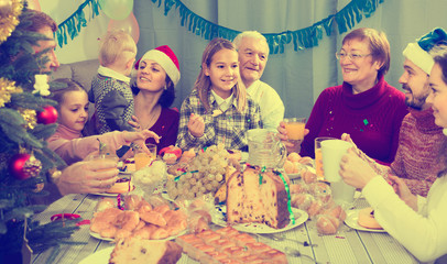 family talking animatedly during Christmas dinner