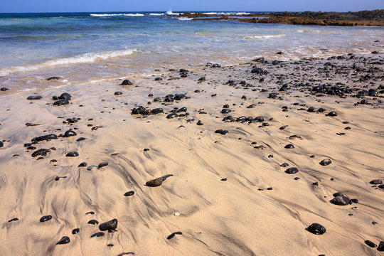 Sandy beach of Cape Verde, round black rocks in the sand
