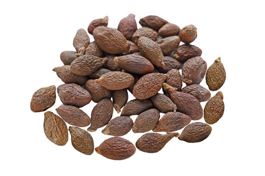 Pile of Malva Nuts