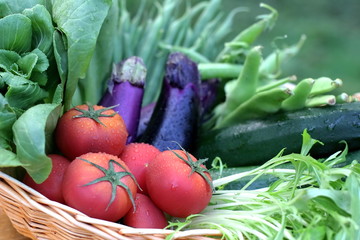 フレッシュな野菜盛り
