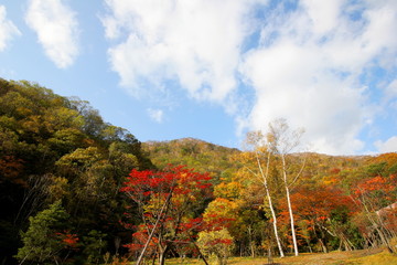 北海道　登別の紅葉