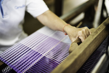 Silk Weaver