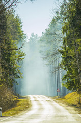 The road goes deep into the forest. The sun's rays make their way through the fog in the forest. Photo to insert text..