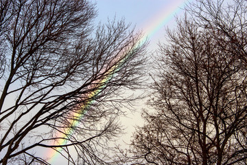 Rainbow