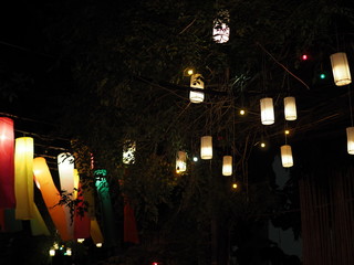 Fototapeta na wymiar Group cluster of cylinder shape paper yellow lamps hanging on dark tree, scattering, with bundle of long colorful red yellow blowing lighting in the background, as night market festival decoration