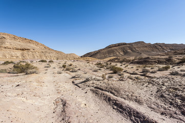 Landscape of the desert in Israel