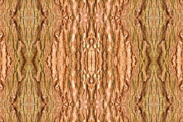 wood shell tamarind texture design seamless  pattern.  for background