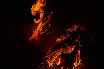 Burning of rice straw at night. Red fire on a black background. Combustion.