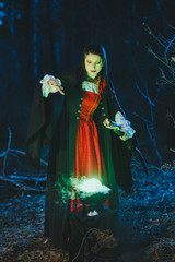Halloween Young beautiful and mysterious woman witch in woods, in black cloak with hood, witch conjures in the wizarding forest