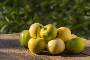 Yellow organic apples