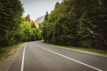 highway in the mountains passes through the forest