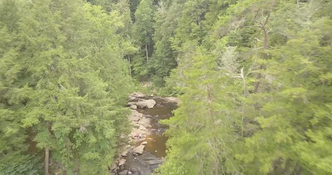 Fly Over Trees in Tennessee