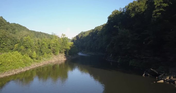 Fly over the River Trees 1