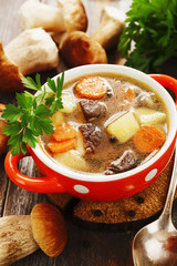 Homemade mushroom soup