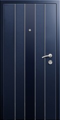 Obraz premium Entrance door (metal door)