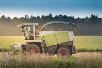 combine harvester at the green field under the blue sky and morning sun