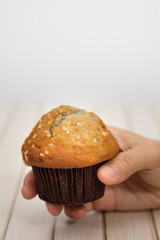 Blueberries muffins on white background,